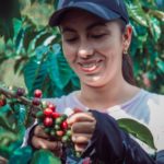 Barreiras caem, agronegócio avança: Brasil amplia mercado para castanhas, café e carnes