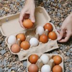 Do galinheiro ao mercado internacional: ovos capixabas protagonizam salto histórico nas exportações