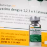 Proteção em ação: vacina contra a dengue reforça eficácia após três semanas da aplicação